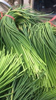 優(yōu)質(zhì)蒜薹低價(jià)熱銷，庫存清倉搶購中！