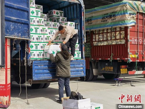 北京新發(fā)地青海農(nóng)副產(chǎn)品銷售區(qū)投入運(yùn)營，助力區(qū)域經(jīng)濟(jì)與民生改善