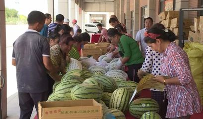白云人組團采購逾1.5萬個新疆西瓜，愛心接力解滯銷燃眉之急
