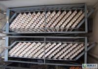 物美價廉，品質無憂 來自世界工廠網的優良柴雞蛋